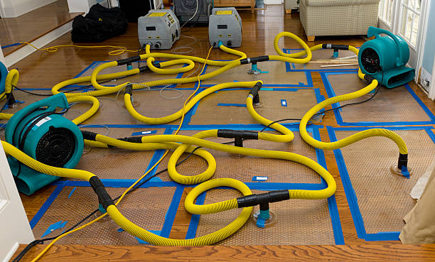 Professional Water Damage Repair technician working in Akron, MI